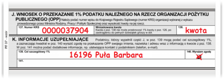 pit_wycinek_2016b-1024x366